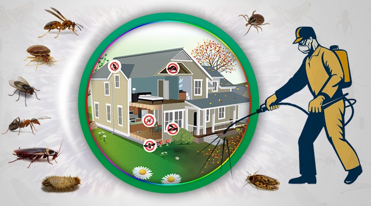 Şile Böcek İlaçlama